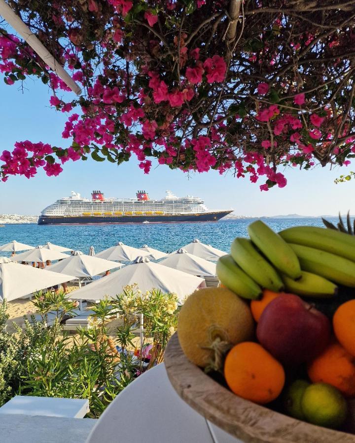 Sikate Hospitality Lejlighed Mykonos Town Eksteriør billede